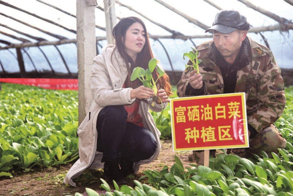 無公害富硒蔬菜種植