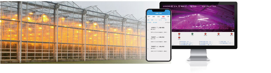 智慧溫室大棚系統(tǒng)光照