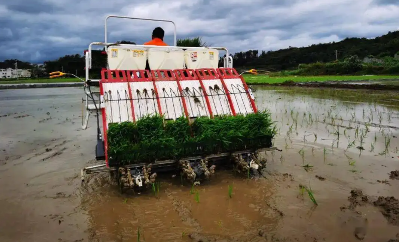 水稻種植機(jī)械化