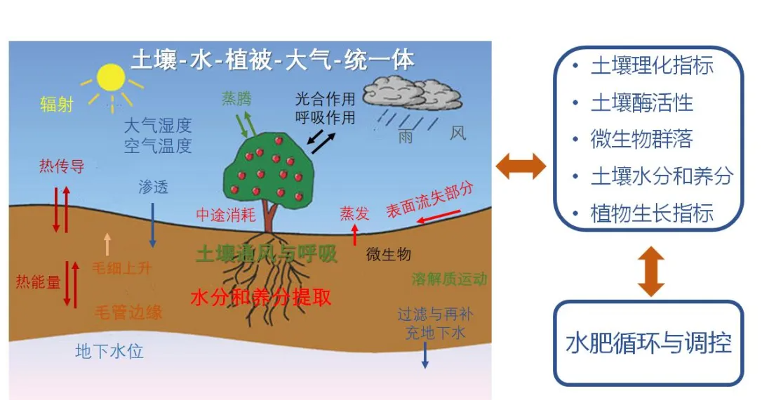 土壤水肥一體化循環