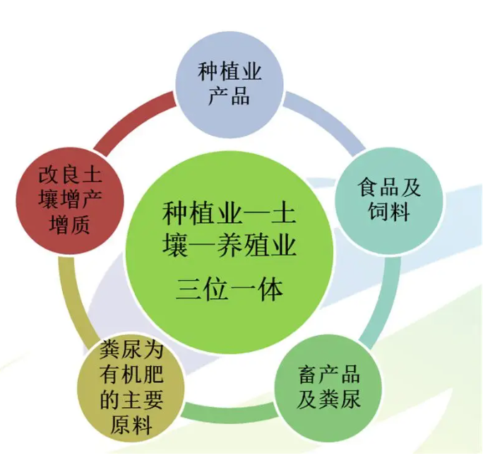 農(nóng)業(yè)生產(chǎn)數(shù)據(jù)監(jiān)測(cè)