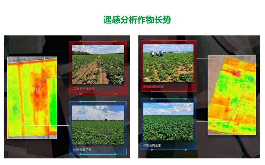 農業遙感監測掌握生產
