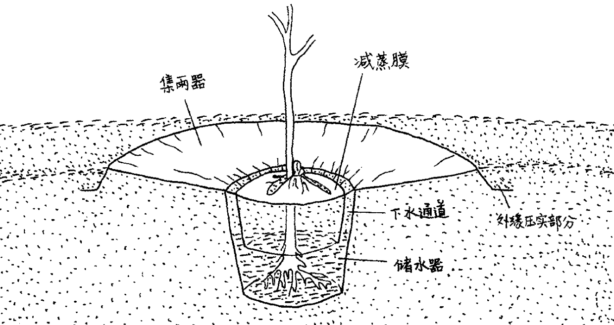 滲漏灌溉