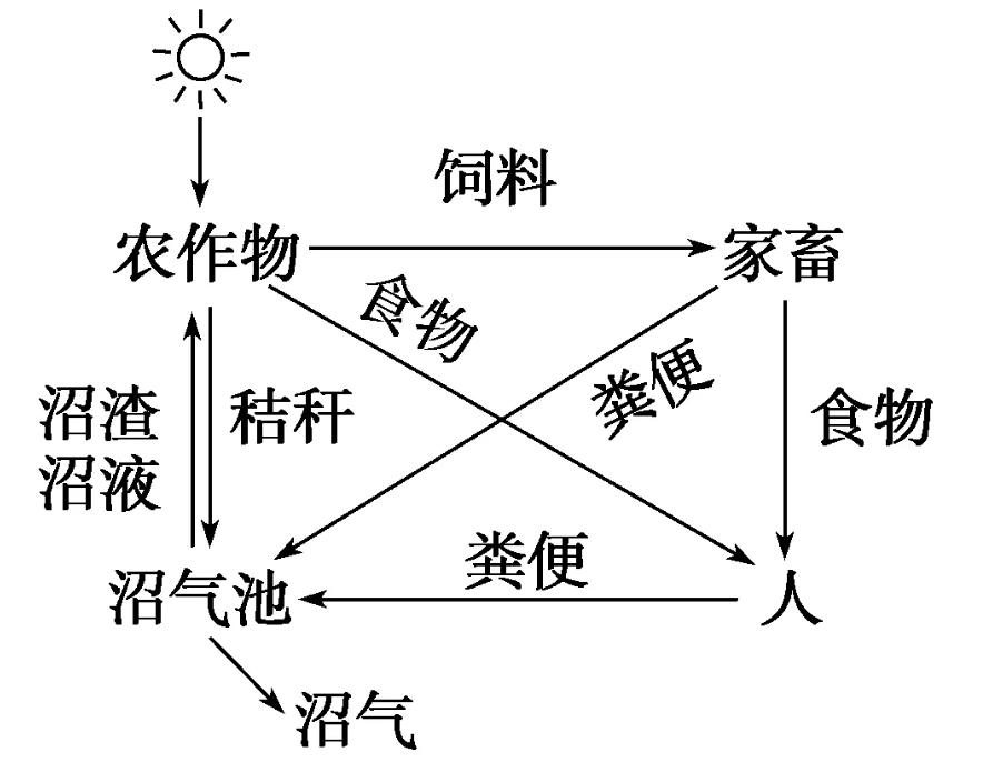 生態農業運行圖