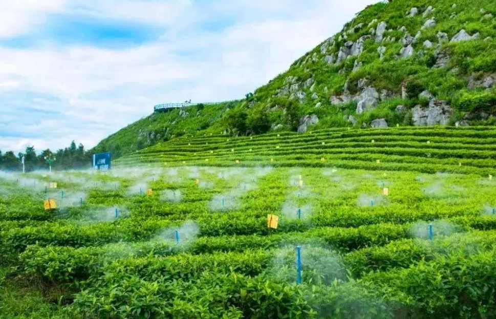 水肥一體化系統(tǒng)改變傳統(tǒng)澆水施肥方式