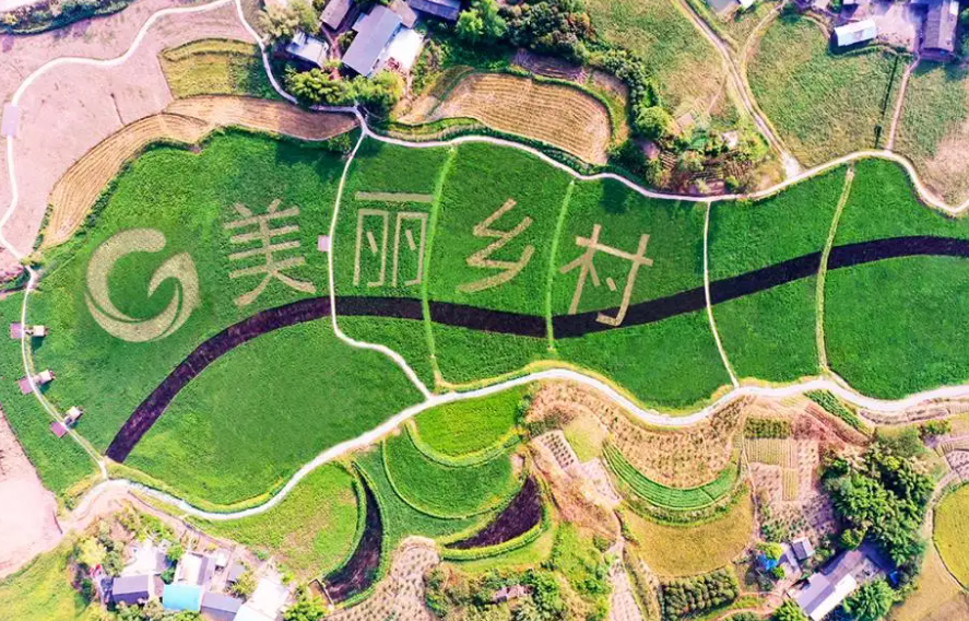 天津市東麗區發力特色種植養殖產業助力鄉村振興