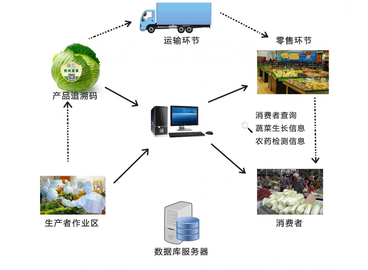 農業電子商務結構圖