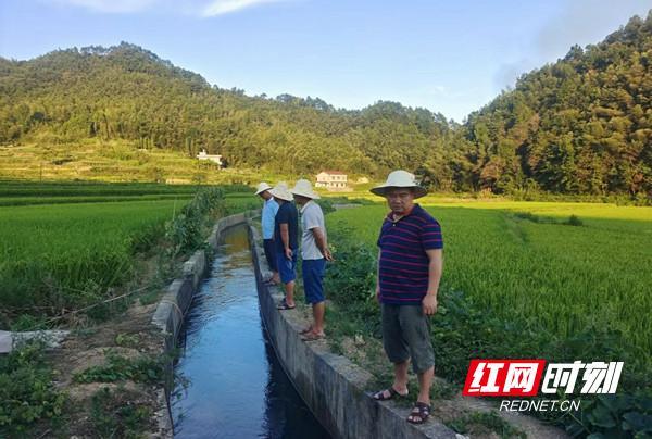 新邵縣：科學調配用水 精準送到農田