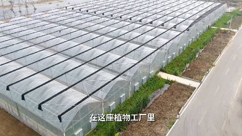 智能植物工廠一直是國際高技術競爭的重要領域