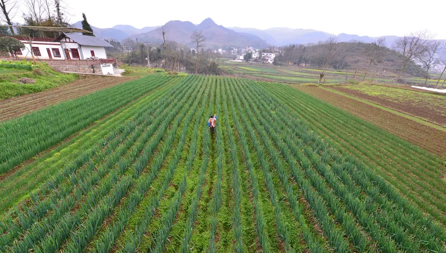 用好“糧技”——提升糧食綜合生產能力