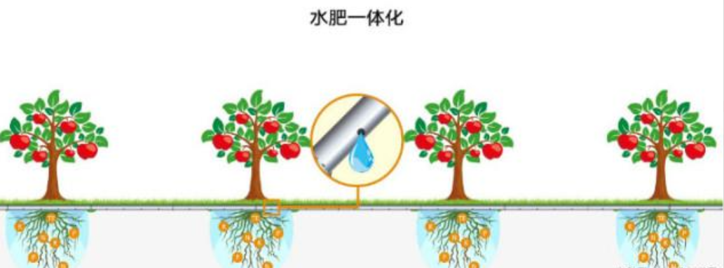 智能水肥一體化的應(yīng)用不僅可以節(jié)約人力