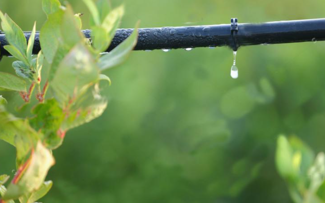 通過節(jié)水灌溉提高水資源利用效率勢在必行