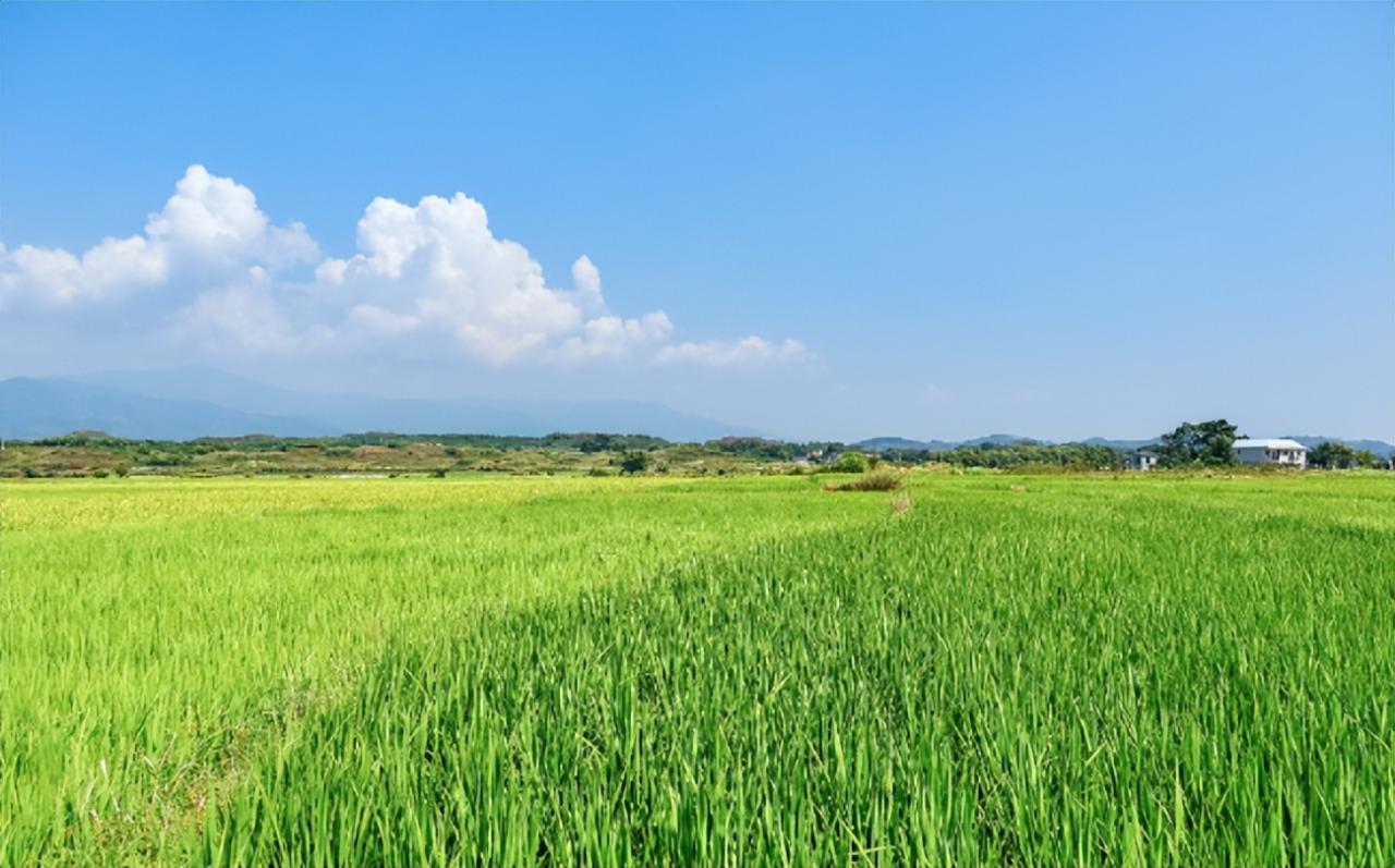 智能溫室栽培和環(huán)境控制系統(tǒng)在現(xiàn)代溫室中的應(yīng)用