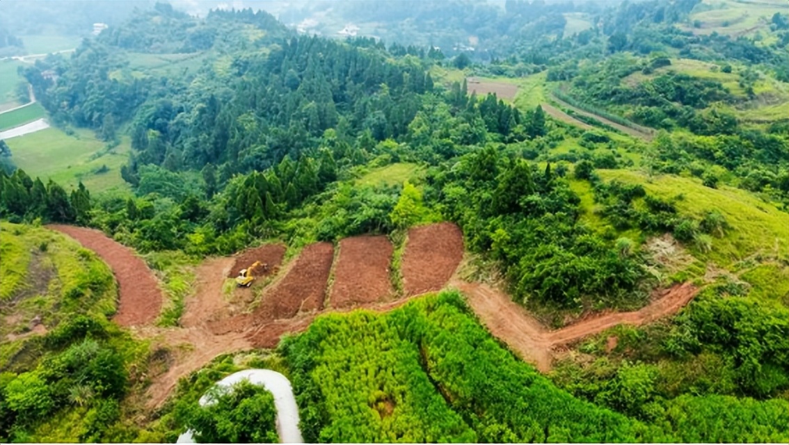 平整好的山坡地