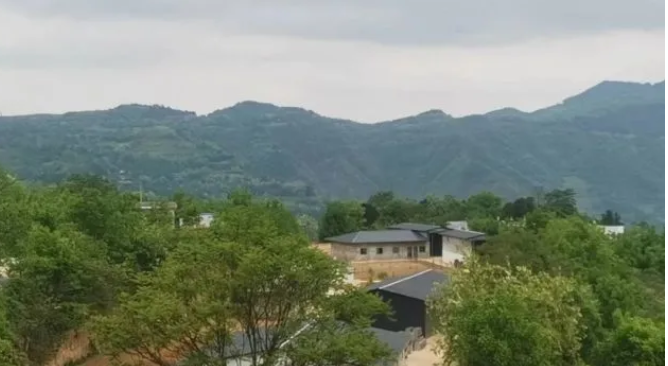 西和縣西高山鎮農村大型養殖場