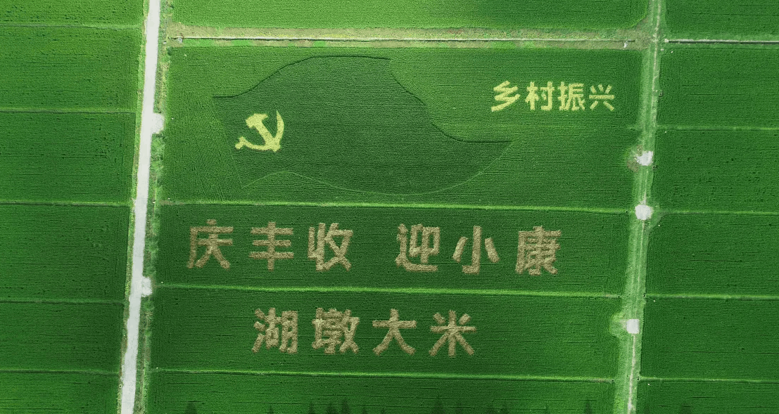 打造高標(biāo)準(zhǔn)農(nóng)田建設(shè)示范樣板區(qū)