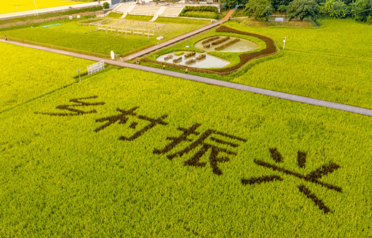 農業農村現代化，為農業高質量可持續發展提供新動能