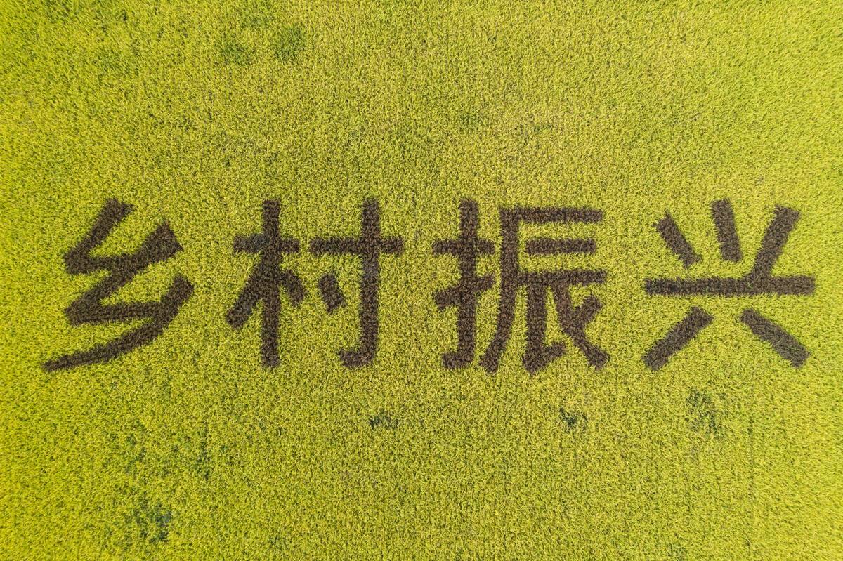 打造美麗鄉(xiāng)村 提升富民產(chǎn)業(yè) 村莊規(guī)劃助推鄉(xiāng)村振興