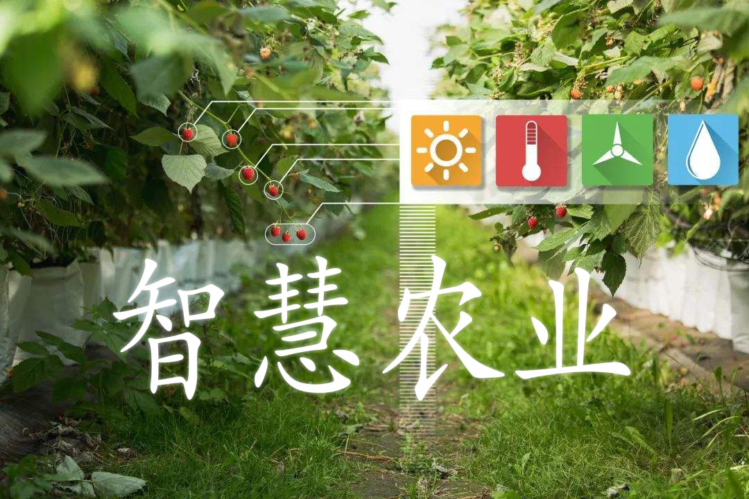 農業物聯網推動智慧農業的前進