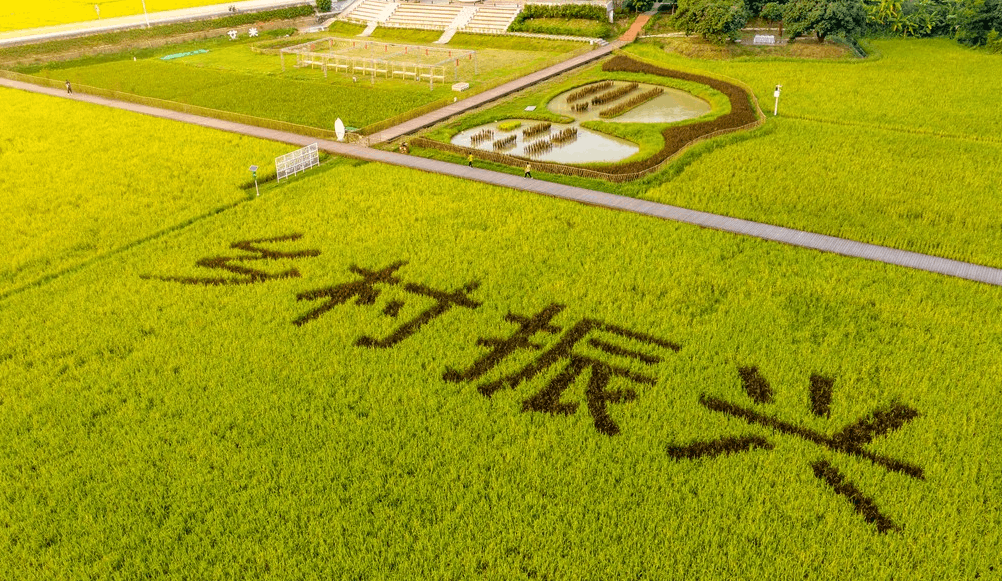 智慧農(nóng)業(yè)就是將物聯(lián)網(wǎng)技術(shù)運用到傳統(tǒng)農(nóng)業(yè)中去