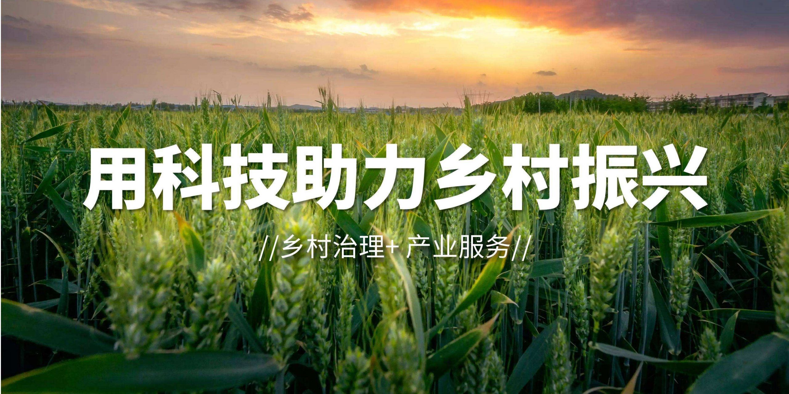 寧河區面向全國公開選聘農村職業經理人——選拔“經營能手” 賦能鄉村振興