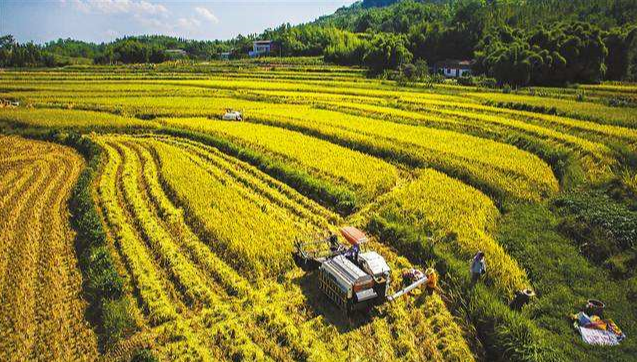 昆山市農(nóng)機(jī)部門(mén)“三個(gè)強(qiáng)化”全力保障秋收秋種