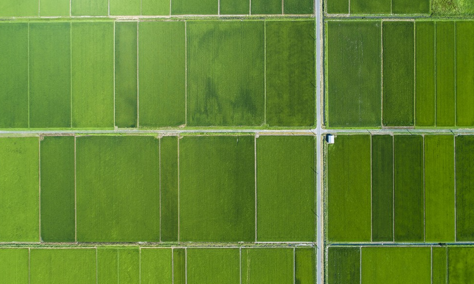 鄉村振興