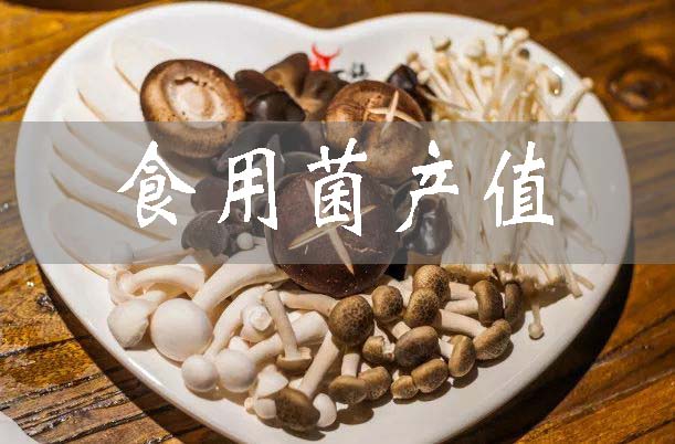 今年食用菌產(chǎn)值將達90億元