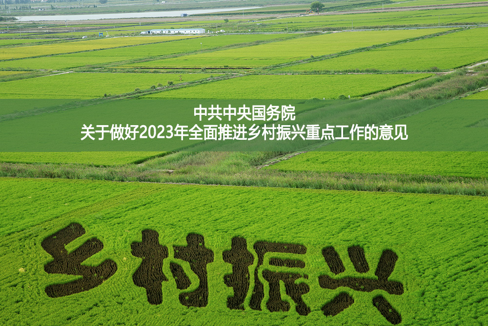 中共中央國務院關于做好2023年全面推進鄉村振興重點工作的意見