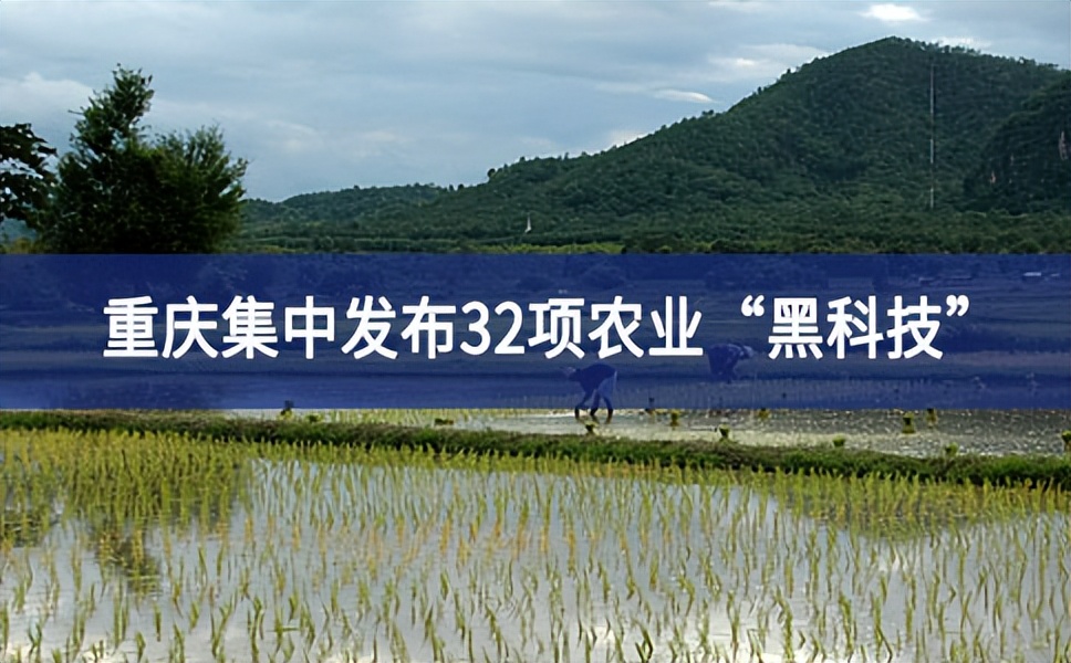 助力鄉村振興 重慶集中發布32項農業“黑科技”