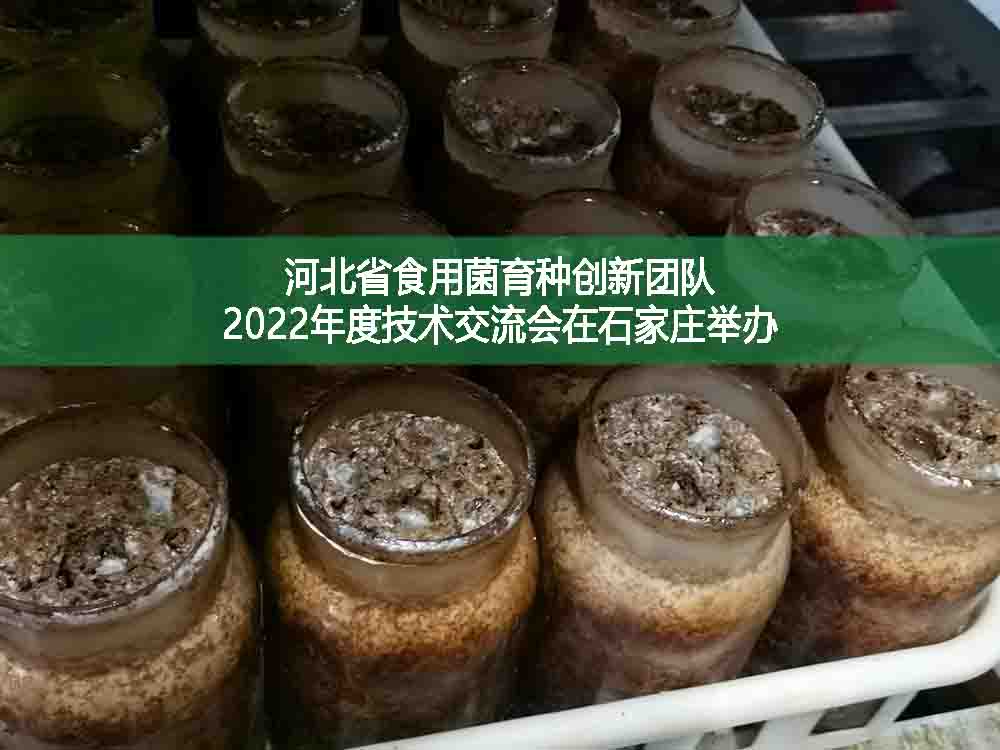 河北省食用菌育種創新團隊2022年度技術交流會在石家莊舉辦