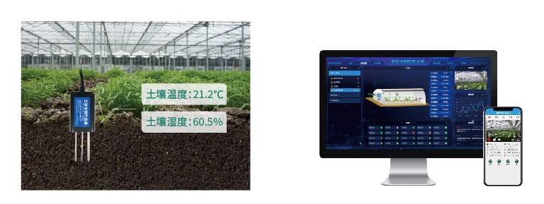 聚英土壤溫濕度傳感器 應用在溫室大棚