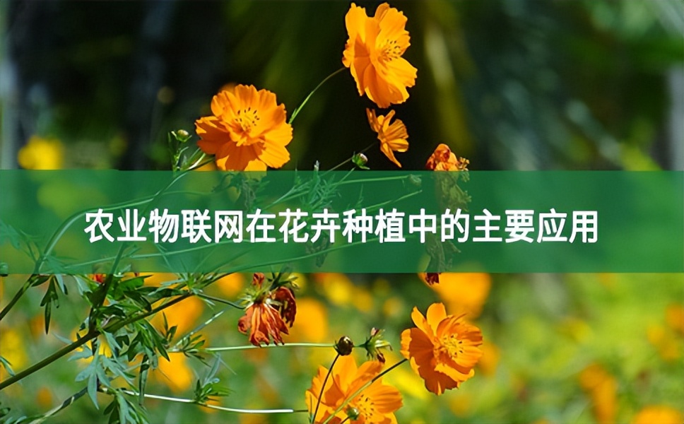 農(nóng)業(yè)物聯(lián)網(wǎng)在花卉種植中的主要應(yīng)用