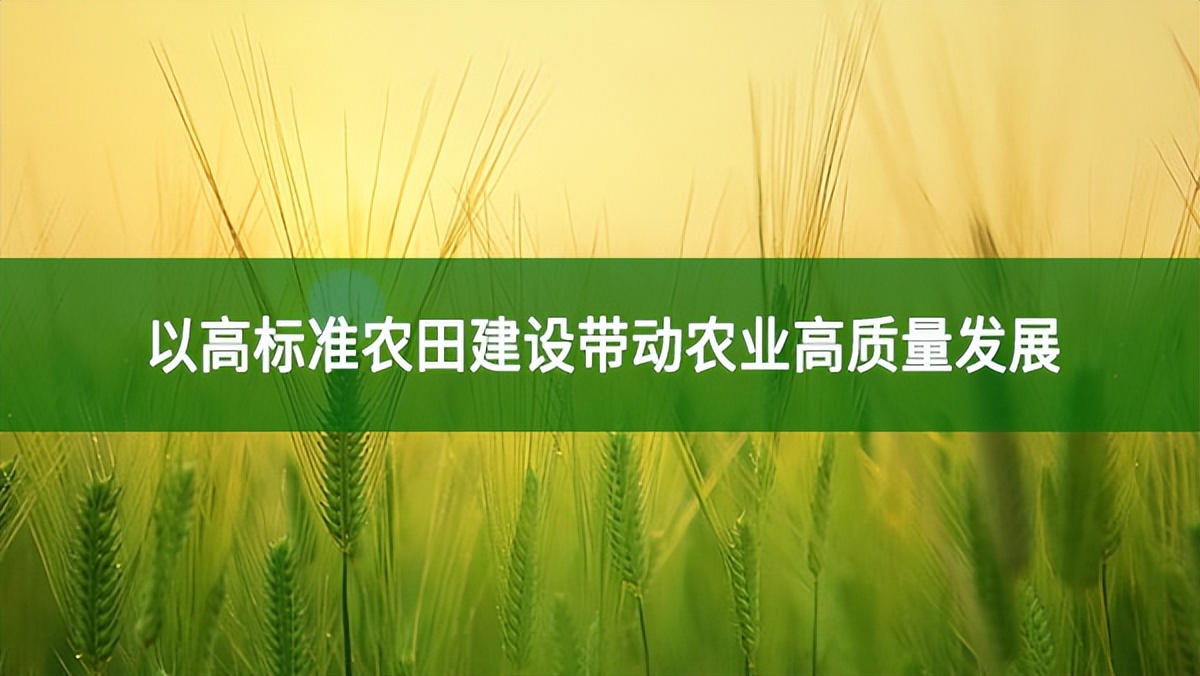 以高標準農田建設帶動農業高質量發展
