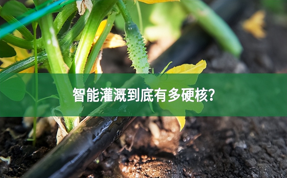 智能灌溉到底有多硬核?高新科技助力農業發展?