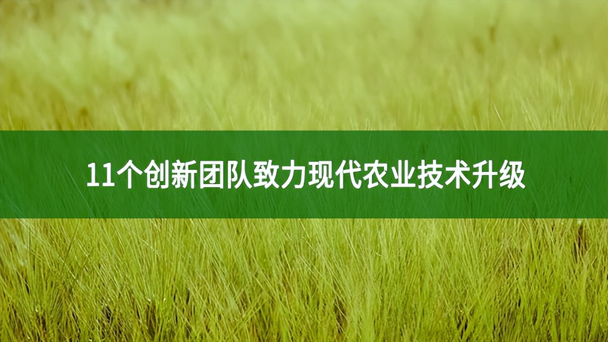 11個(gè)創(chuàng)新團(tuán)隊(duì)致力現(xiàn)代農(nóng)業(yè)技術(shù)升級