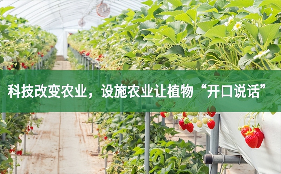 科技改變農業，設施農業讓植物“開口說話”