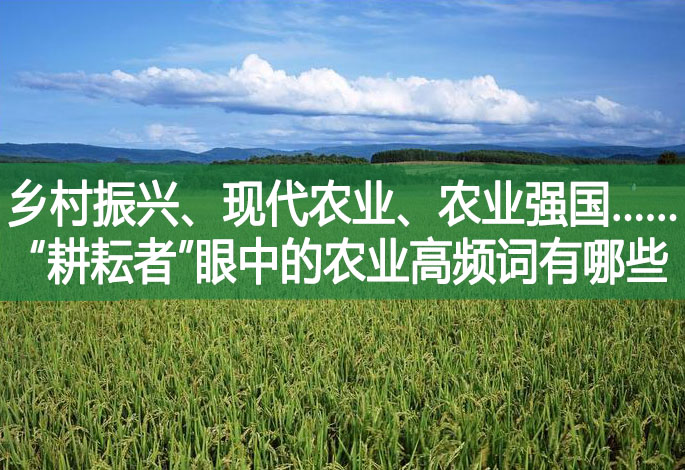 鄉村振興、現代農業、農業強國...... “耕耘者”眼中的農業高頻詞有哪些