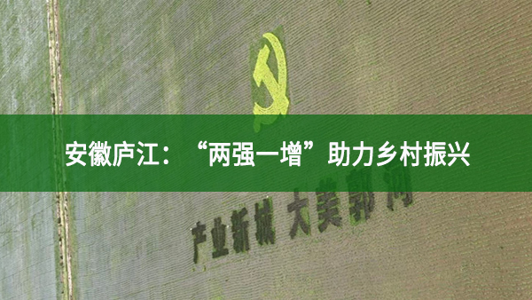 安徽廬江：“兩強一增”助力鄉村振興