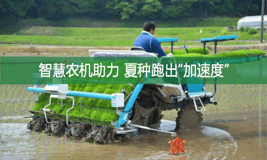 智慧農機助力 夏種跑出“加速度”