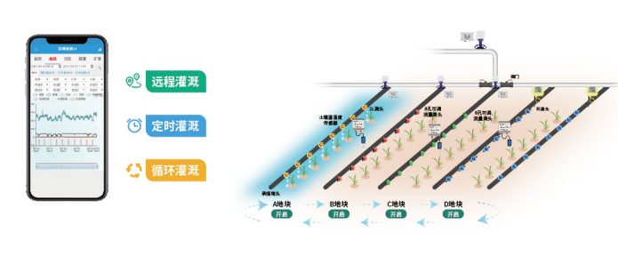 智能水肥一體化系統(tǒng)的自動化灌溉