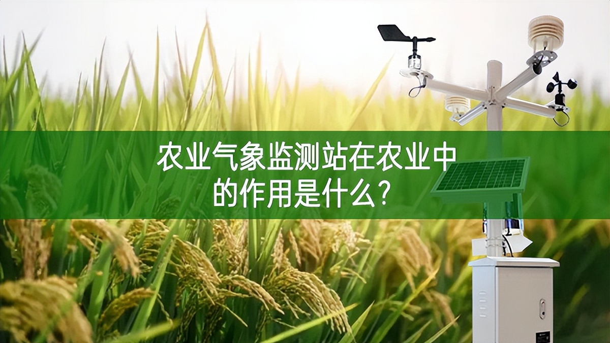 農業氣象監測站在農業中的作用是什么?