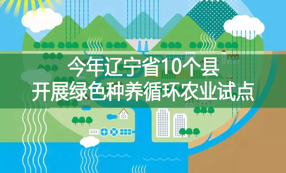 今年遼寧省10個縣開展綠色種養(yǎng)循環(huán)農(nóng)業(yè)試點