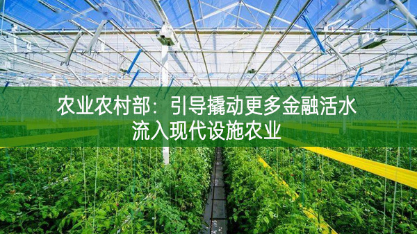 農業農村部：引導撬動更多金融活水流入現代設施農業