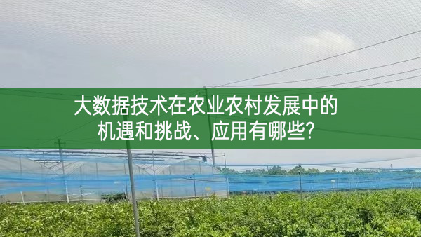 大數據技術在農業(yè)農村發(fā)展中的機遇和挑戰(zhàn)、應用有哪些?