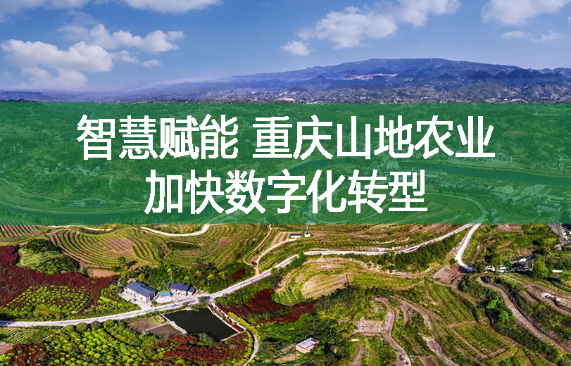 智慧賦能 重慶山地農業加快數字化轉型