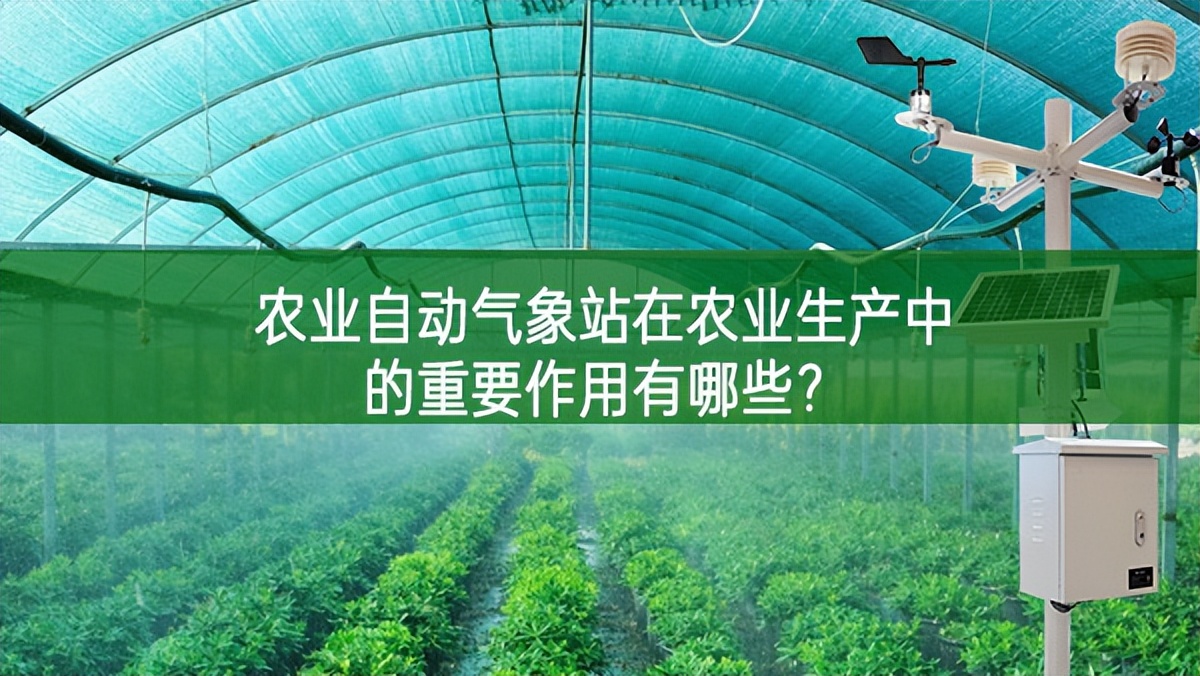 農業自動氣象站在農業生產中的重要作用有哪些?