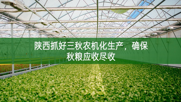 陜西抓好三秋農機化生產，確保秋糧應收盡收