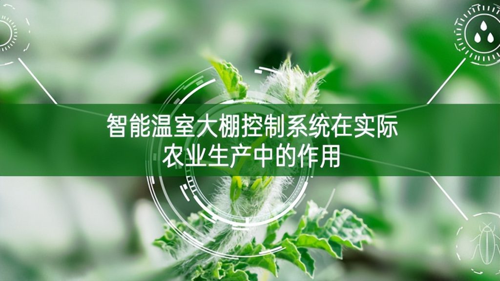 智能溫室大棚控制系統在實際農業生產中的作用