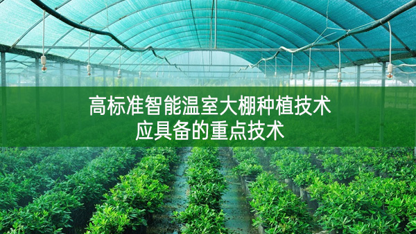 高標準智能溫室大棚種植技術應具備的重點技術